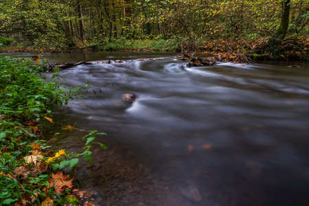 autumn in the parkの写真素材