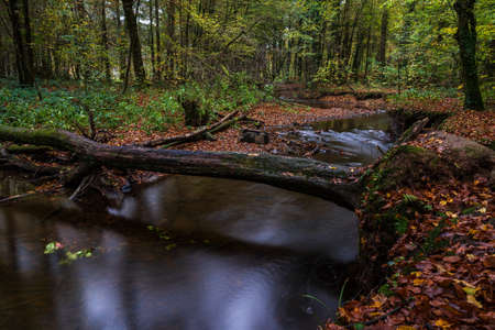 autumn in the parkの写真素材
