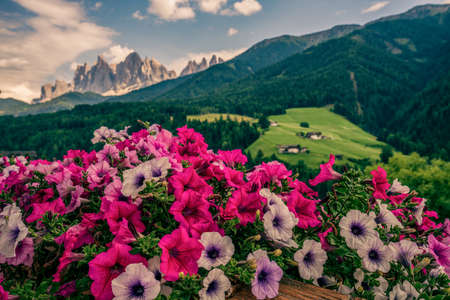Balcony flowers and panoramic view of the Dolomites, Italy.の写真素材