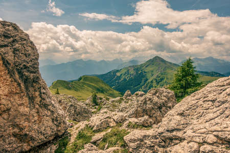 Small tree on the rocks in the Dolomites, Italy. Hiking trail in the nature reserve of the Ampezzo Dolomites.の写真素材
