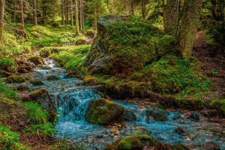 Mountain river in the Dolomites, Italy.の写真素材