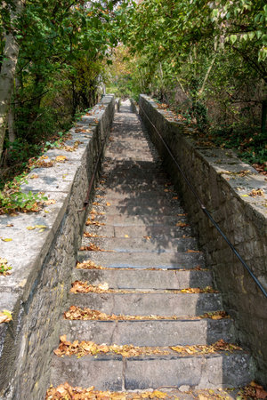Stone stairs in the forest
