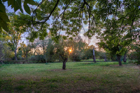 autumn in the parkの写真素材