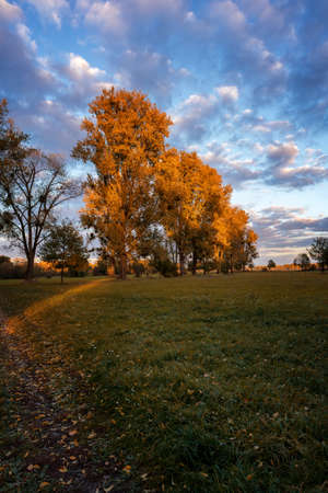 autumn in the parkの写真素材