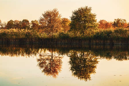 Colorful autumn trees by the lakeの写真素材