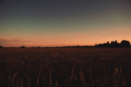 Sunset on the horizon in The Netherlandsの写真素材