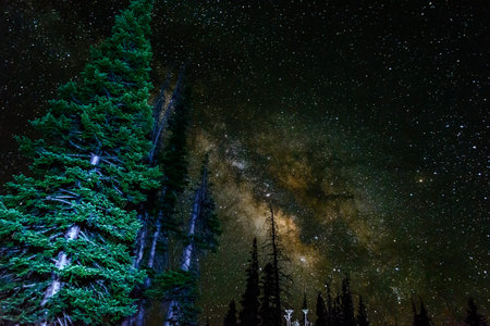The Milky Way