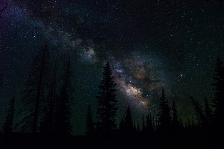 Milky Way Rising