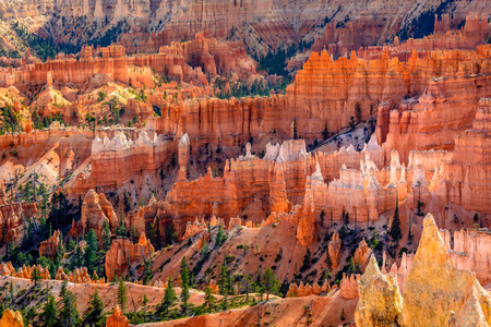 The Amphitheater at Bryce Canyon National Parkの写真素材