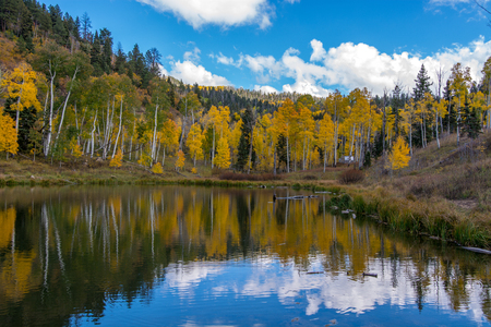 Reflections of Fall Colorsの写真素材