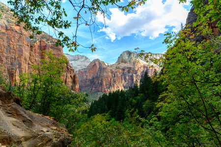 Zion National Parkの写真素材