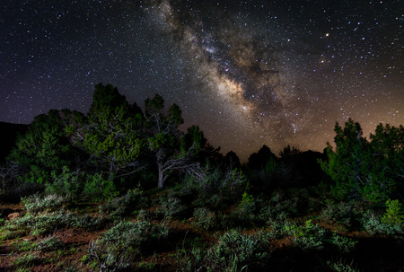 Milky Way galaxy rising over some trees in southern Utahの写真素材