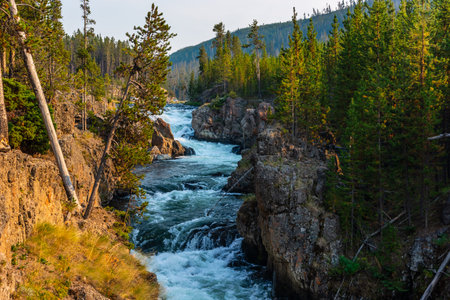 River in Yellowstoneの写真素材