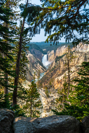 Lower Falls in Yellowstoneの写真素材