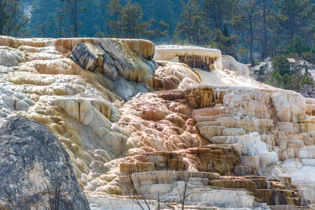 Mammoth Hot Springs in Yellowstoneの写真素材
