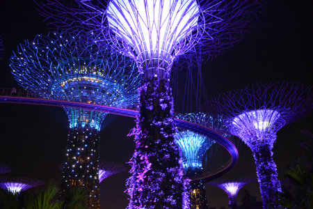 Giant Trees at the Gardens in Singapore