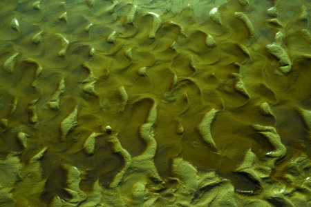 Water Texture
