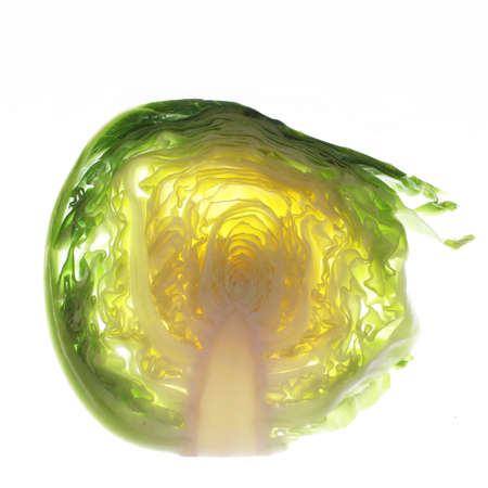 cabbage close upの写真素材