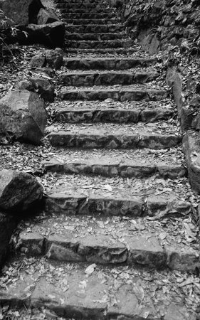 Steps in a national park on a bush walk