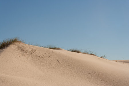 Grassy sand dune against clear blue sky