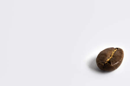 Coffee Bean in bottom right corner on white backgroundの写真素材