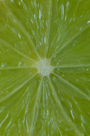 Lime Closeupの写真素材