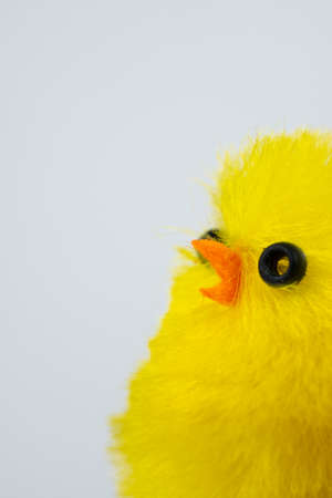 Close up images of toy chicks against a white backgroundの写真素材