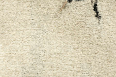 Macro image of sandpaper details suitable for textured overlaysの写真素材