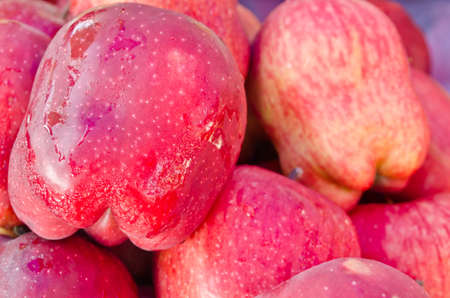 crunchy red applesの写真素材