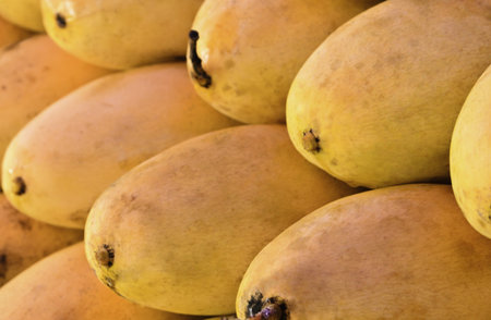 Selling yellow mangoes in market