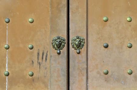Grunge iron gate with lion head handleの写真素材