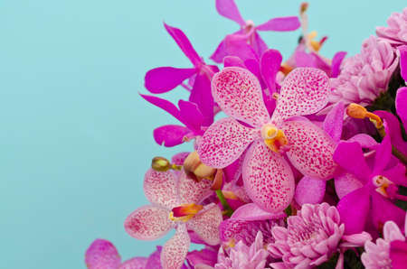 Purple flower decoration against blue wallの写真素材