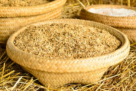 Rice grain in basketの写真素材