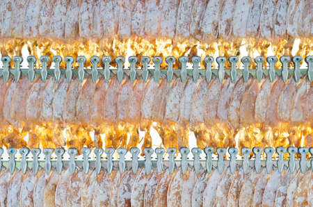 Dried squid in rowの写真素材