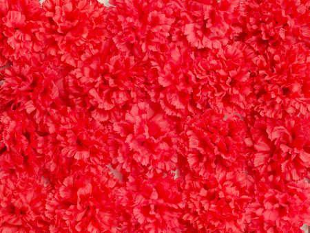 Red artificial flowers backgroundの写真素材