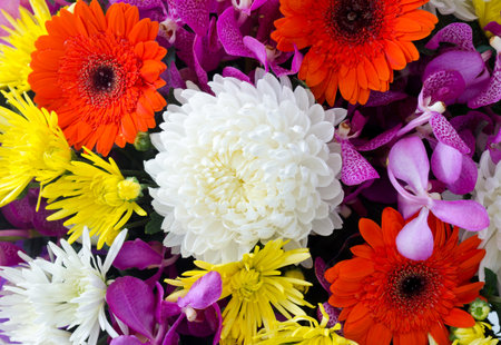Bunch of colorful flowers decoration