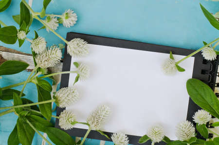 White Globe Amaranth flowers on open bookの写真素材