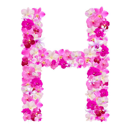 Letter H from orchid flowers isolated on white with working pathの写真素材