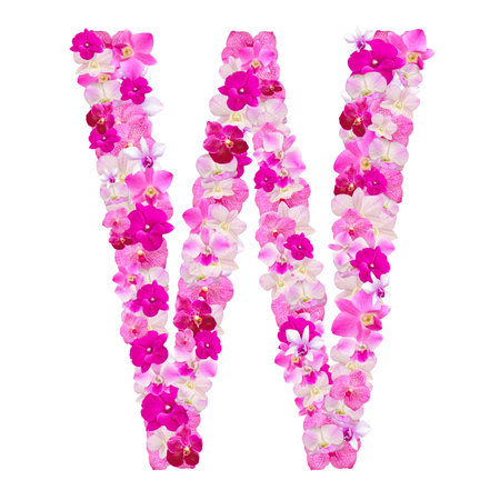 Letter W from orchid flowers isolated on white with working pathの写真素材