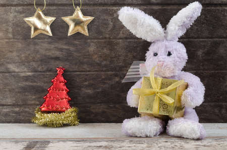 lovely rabbit doll holding present boxの写真素材