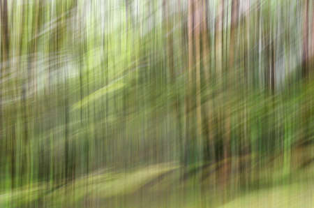 Abstract motion blur, trees trunk & leave, yellow green backgroundの写真素材