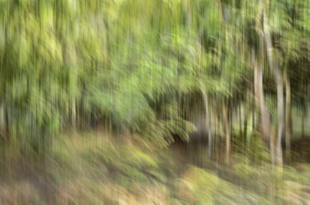 Abstract motion blur, trees trunk & leave, yellow green backgroundの写真素材
