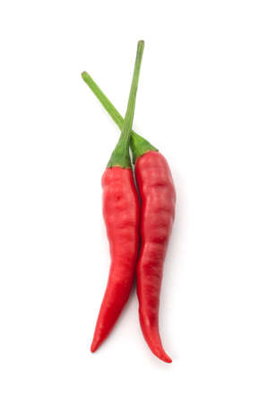 Hot chili pepper or small chili padi isolated on white backgroundの写真素材
