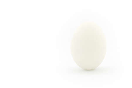 One white egg, isolated on white backgroundの写真素材