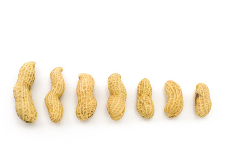 Closeup of Peanuts, isolated on white background