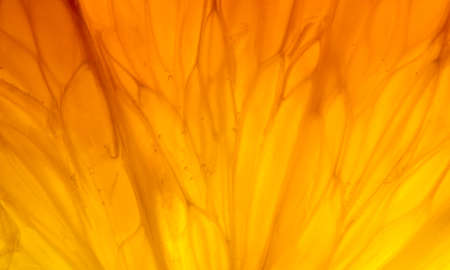 Close up of orange slice as abstract backgroundの写真素材