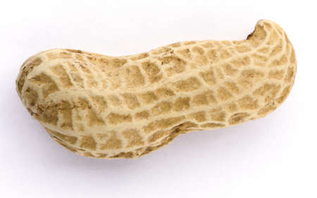 Macro closeup of Peanuts, isolated on white backgroundの写真素材