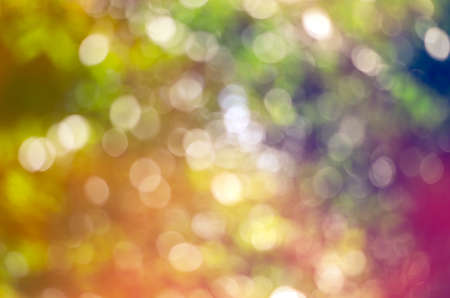 Colorful nature jungle or forest abstract blur for design background & textureの写真素材