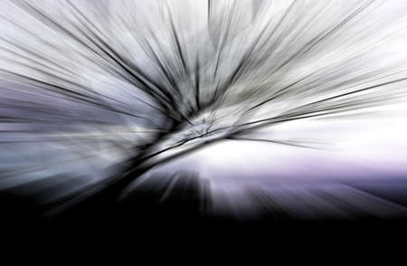 Abstract motion zoom blur on nature treeの写真素材