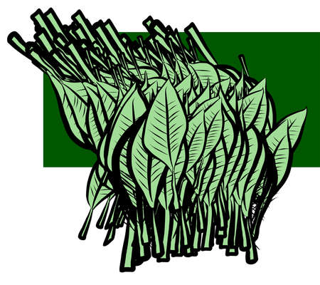 Modern geometrical leaves drawing background pattern abstract. Vector illustration graphic.のイラスト素材